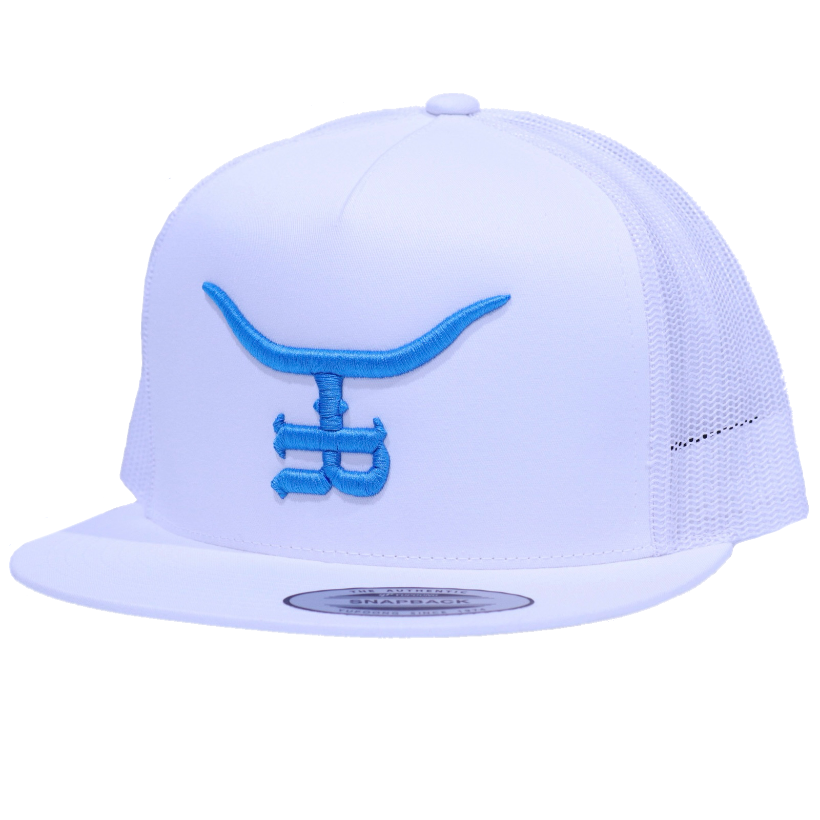 Blue and white snapback hat online