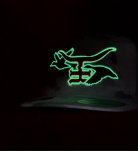 Load image into Gallery viewer, &quot;GLOW DUCKS&quot;- Flatbill Trucker Snapback
